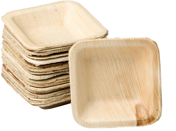 areca8 1024x1024 2x removebg preview